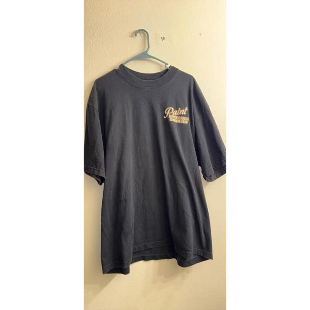 Paint Wild Horses Gainesville FL T-shirt XL